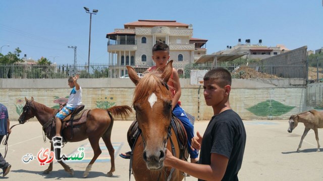 كفرقاسم - فيديو  : تعليم هواية ركوب الخيل في مدرسة جنة ابن رشد في اليوم الرابع لصيف الصادقة 